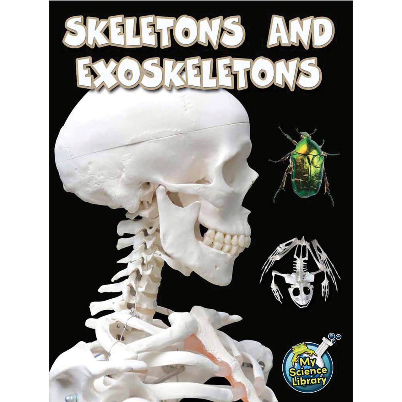 Rourke Educational Media Skeletons and Exoskeletons